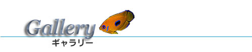 M[